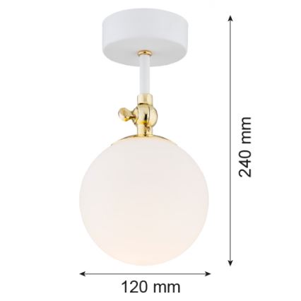 Argon 4002 - Σταθερό πολύφωτο μπάνιου LATINA 1xE14/7W/230V IP44 λευκό/χρυσαφί