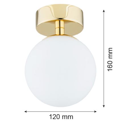 Argon 4004 - Φωτιστικό οροφής μπάνιου FLAVIO 1xE14/7W/230V IP44