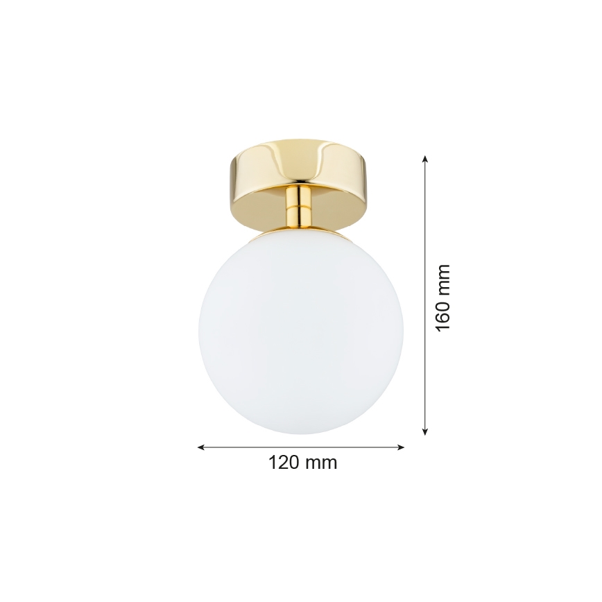 Argon 4004 - Φωτιστικό οροφής μπάνιου FLAVIO 1xE14/7W/230V IP44