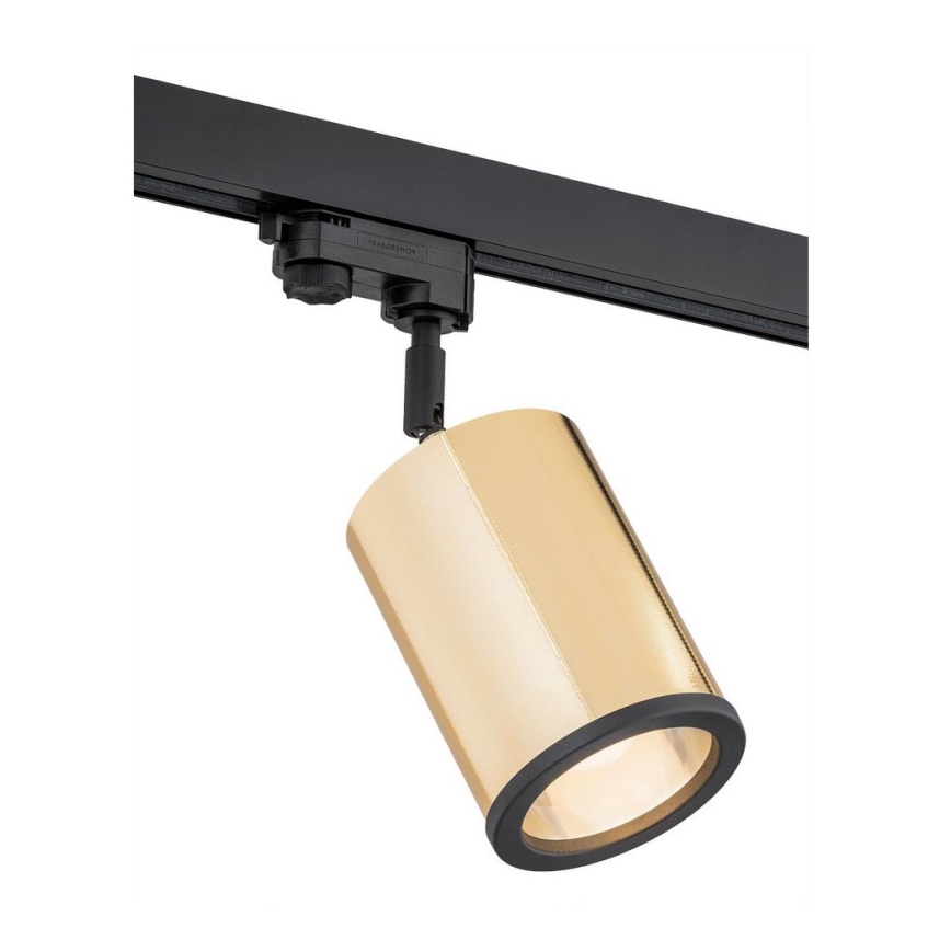 Argon 4303 - Σποτ ράγας DELF 1xE27/15W/230V χρυσό