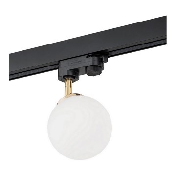 Argon 4307 - Σποτ φωτιστικό για ράγα BANG 1xG9/6W/230V ορείχαλκος