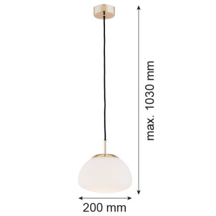 Argon 4352 - Κρεμαστό φωτιστικό οροφής μονόφωτο TRINI 1xE27/15W/230V χρυσαφί