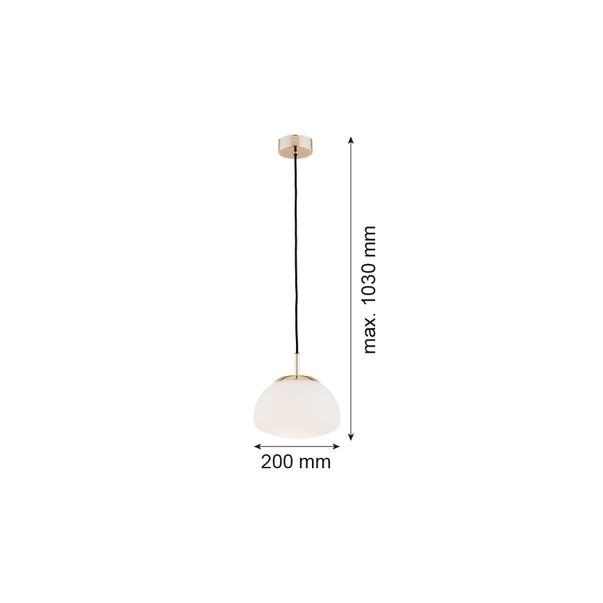 Argon 4352 - Κρεμαστό φωτιστικό οροφής μονόφωτο TRINI 1xE27/15W/230V χρυσαφί