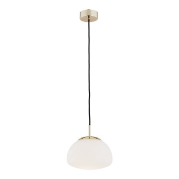 Argon 4352 - Φωτιστικό οροφής με καλώδιο TRINI 1xE27/15W/230V διάμ. 20 εκ. χρυσό