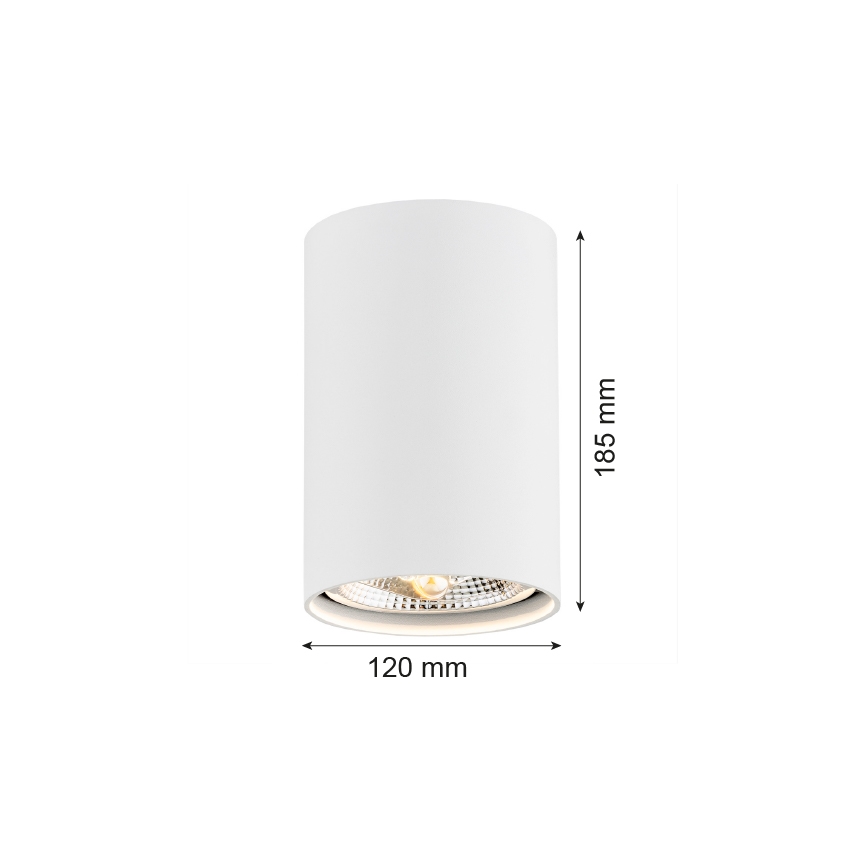Argon 4910 - Φωτιστικό σποτ TUBO AR111 1xGU10/15W/230V λευκό
