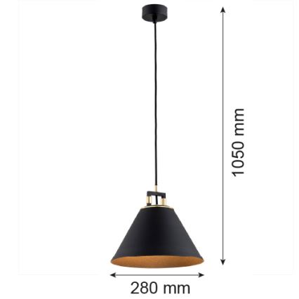 Argon 4915 - Κρεμαστό φωτιστικό οροφής ORTE 1xE27/15W/230V μαύρο