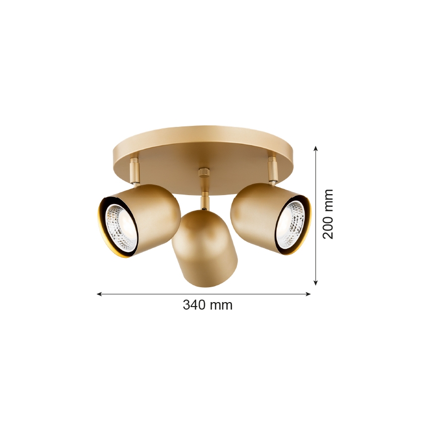 Argon 6249 - Φωτιστικό σποτ ISOLA 3xGU10/5W/230V