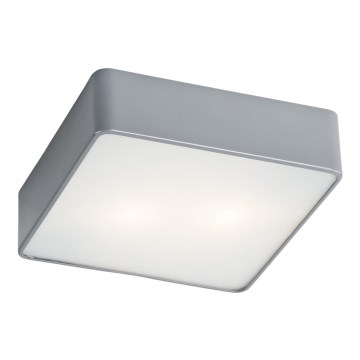 Argon 653 - Φως οροφής ONTARIO 2xE27/15W/230V