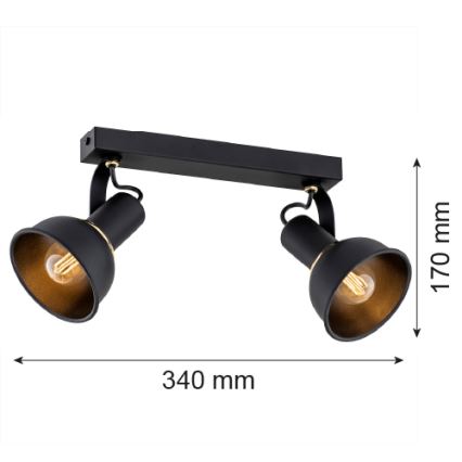 Argon 7037 - Φωτιστικό σποτ TWIST 2xE14/7W/230V μαύρο/χρυσαφί