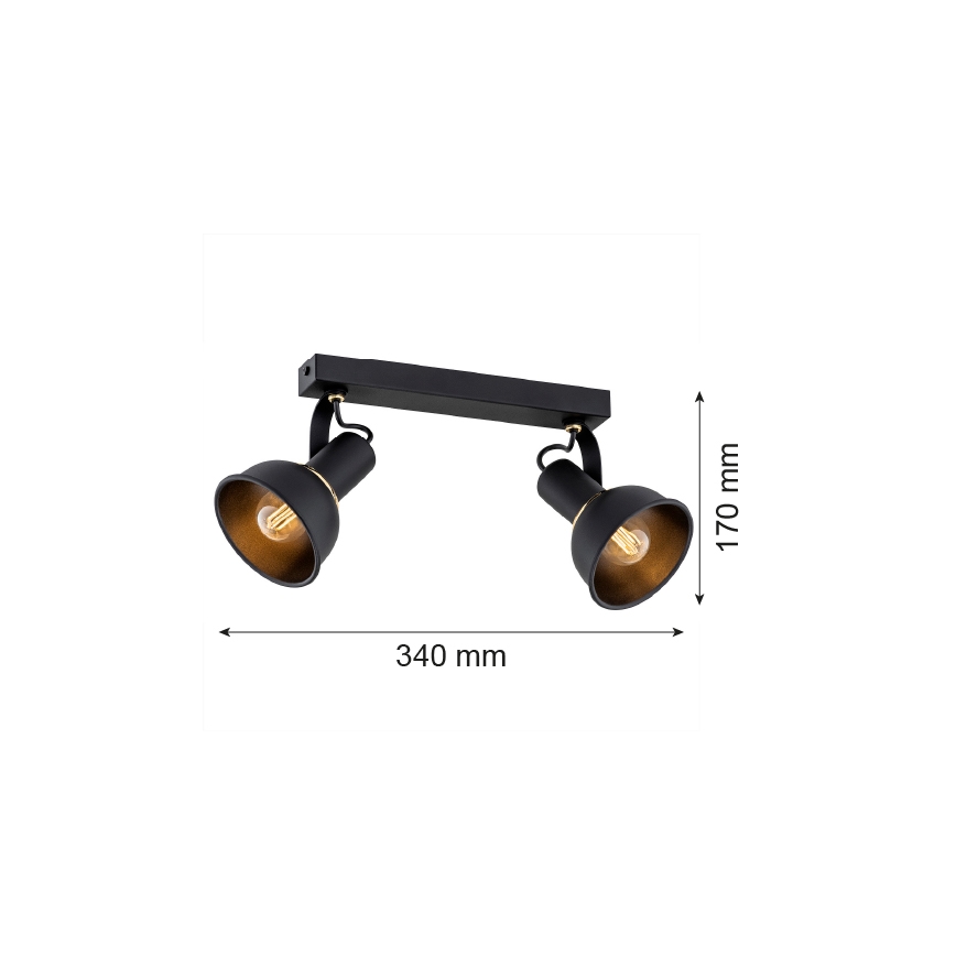 Argon 7037 - Φωτιστικό σποτ TWIST 2xE14/7W/230V μαύρο/χρυσαφί