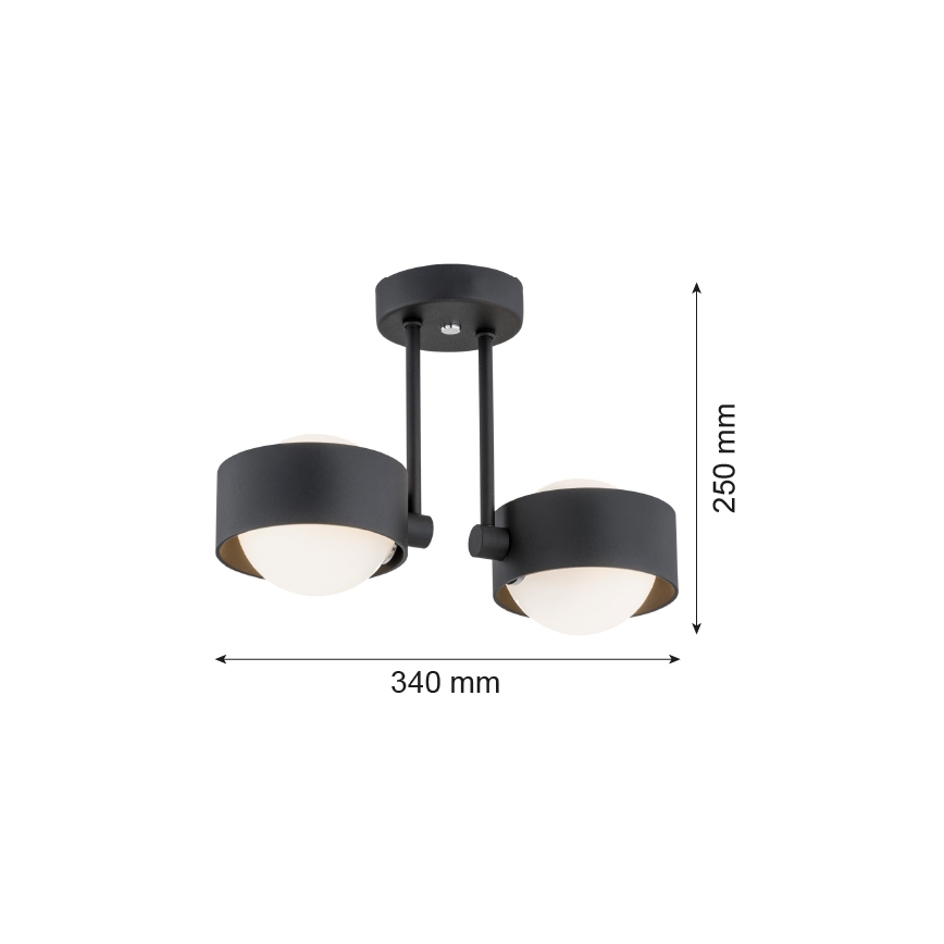 Argon 7089 - Κρεμαστό φωτιστικό MASSIMO PLUS 2xG9/6W/230V μαύρο