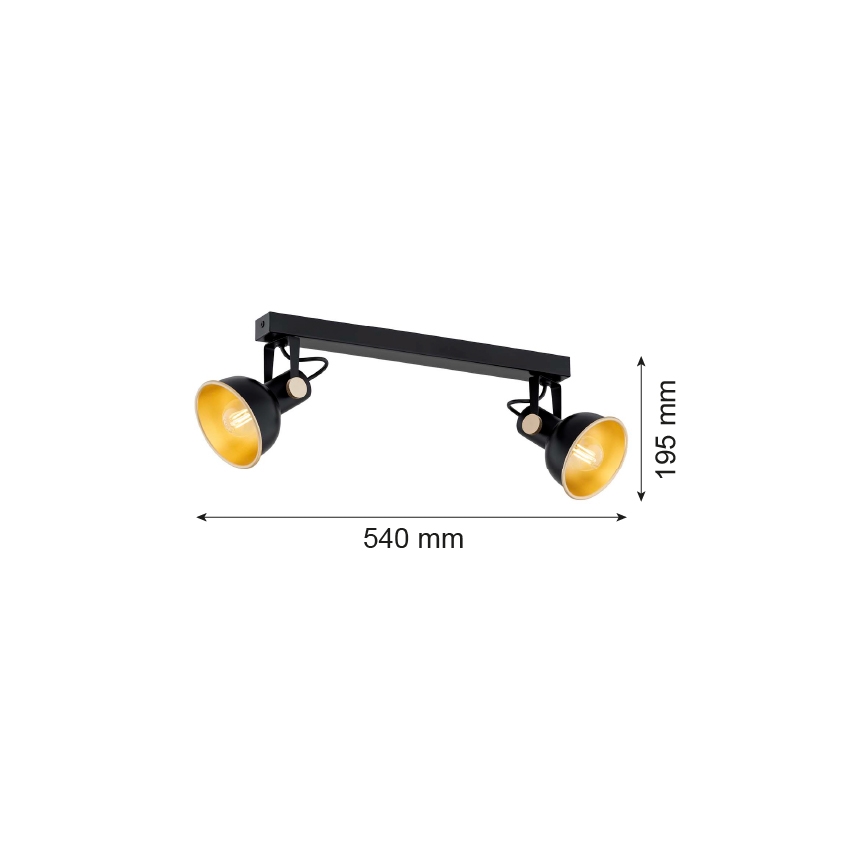 Argon 7142 - Φωτιστικό σποτ LENORA 2xE14/7W/230V μαύρο