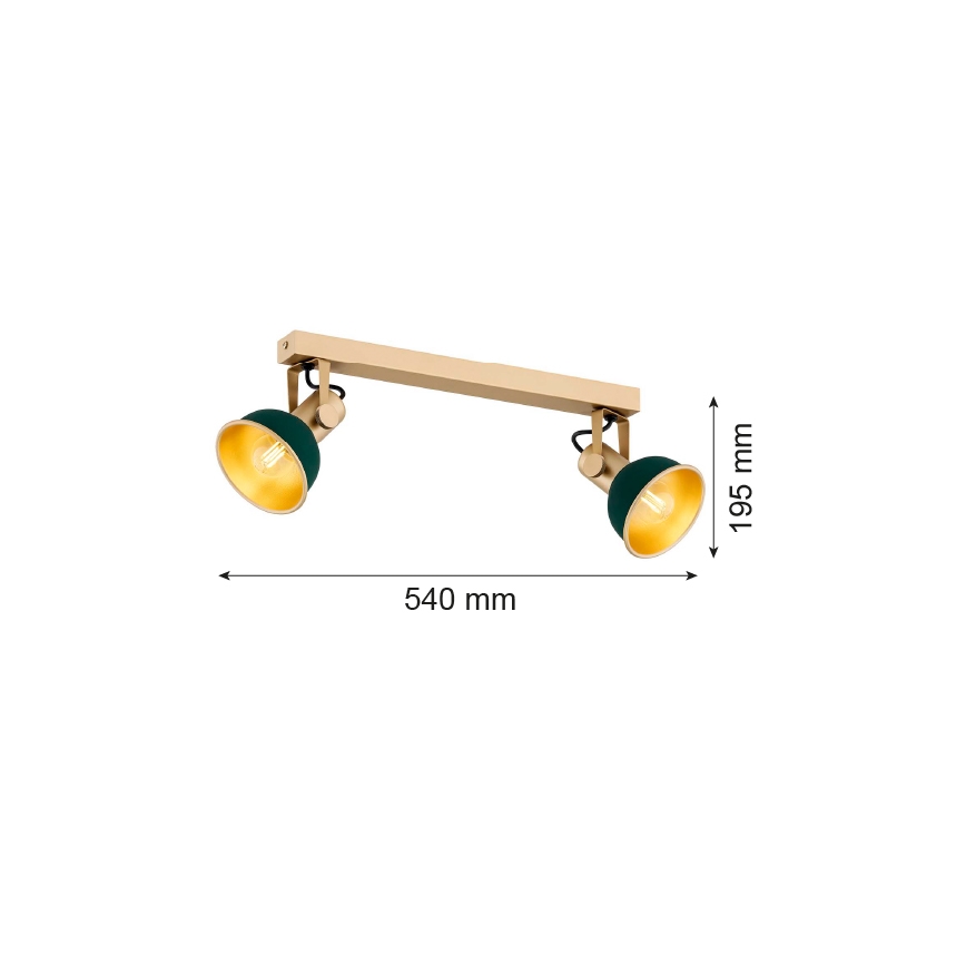 Argon 7143 - Φωτιστικό σποτ LENORA 2xE14/7W/230V χρυσαφί/πράσινο