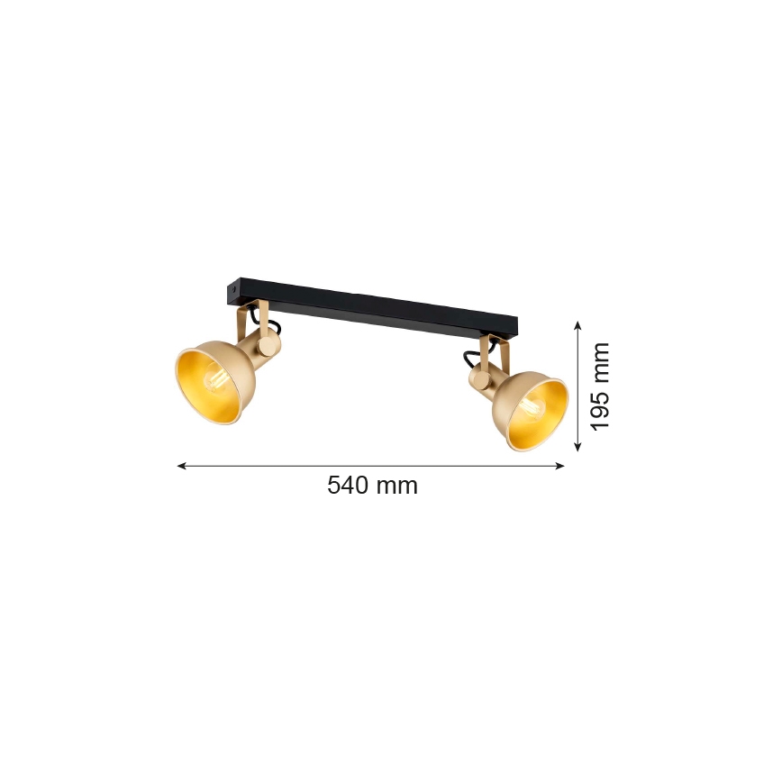 Argon 7144 - Φωτιστικό σποτ LENORA 2xE14/7W/230V χρυσαφί/μαύρο