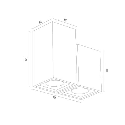 Argon 7175 - Φωτιστικό σποτ MORTIMER 2xGU10/5W/230V