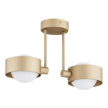 Argon 7215 - Κρεμαστό φωτιστικό μπάνιου MASSIMO PLUS 2xG9/6W/230V IP44 χρυσαφί