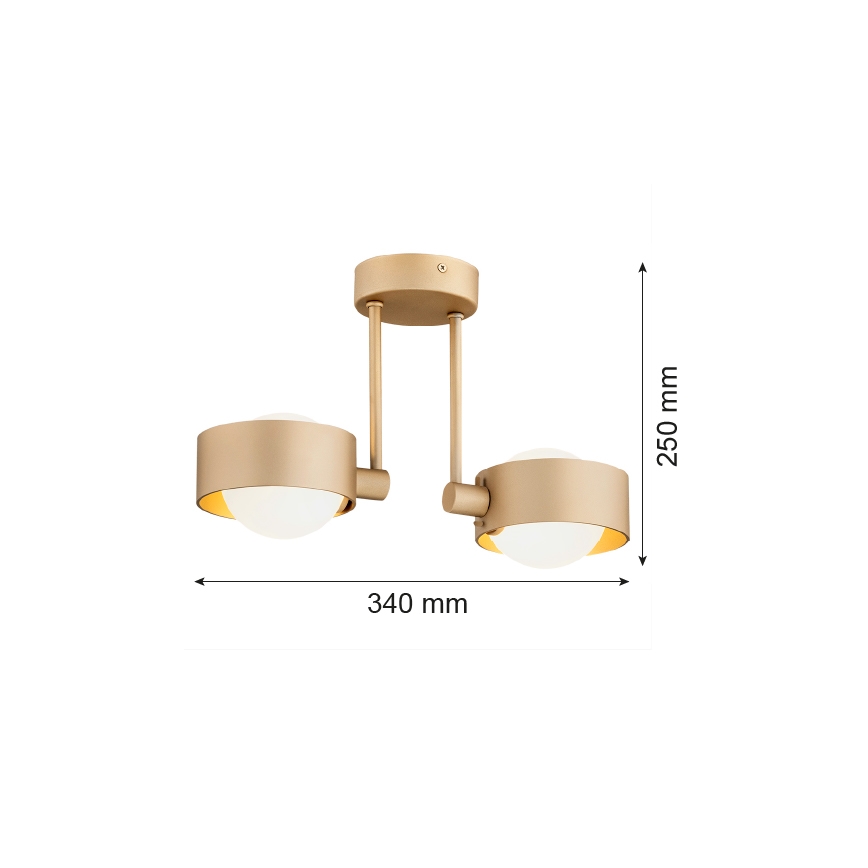 Argon 7215 - Κρεμαστό φωτιστικό μπάνιου MASSIMO PLUS 2xG9/6W/230V IP44 χρυσαφί