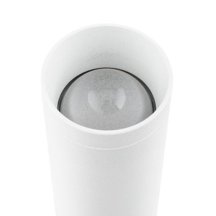 Argon 7223 - Φωτιστικό τοίχου LED GRECO 2xLED/4,2W/230V 3000K λευκό