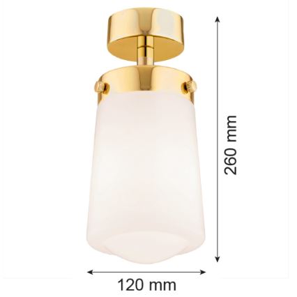 Argon 8005 - Πλαφονιέρα οροφής PASADENA 1xE27/15W/230V χρυσό/λευκό