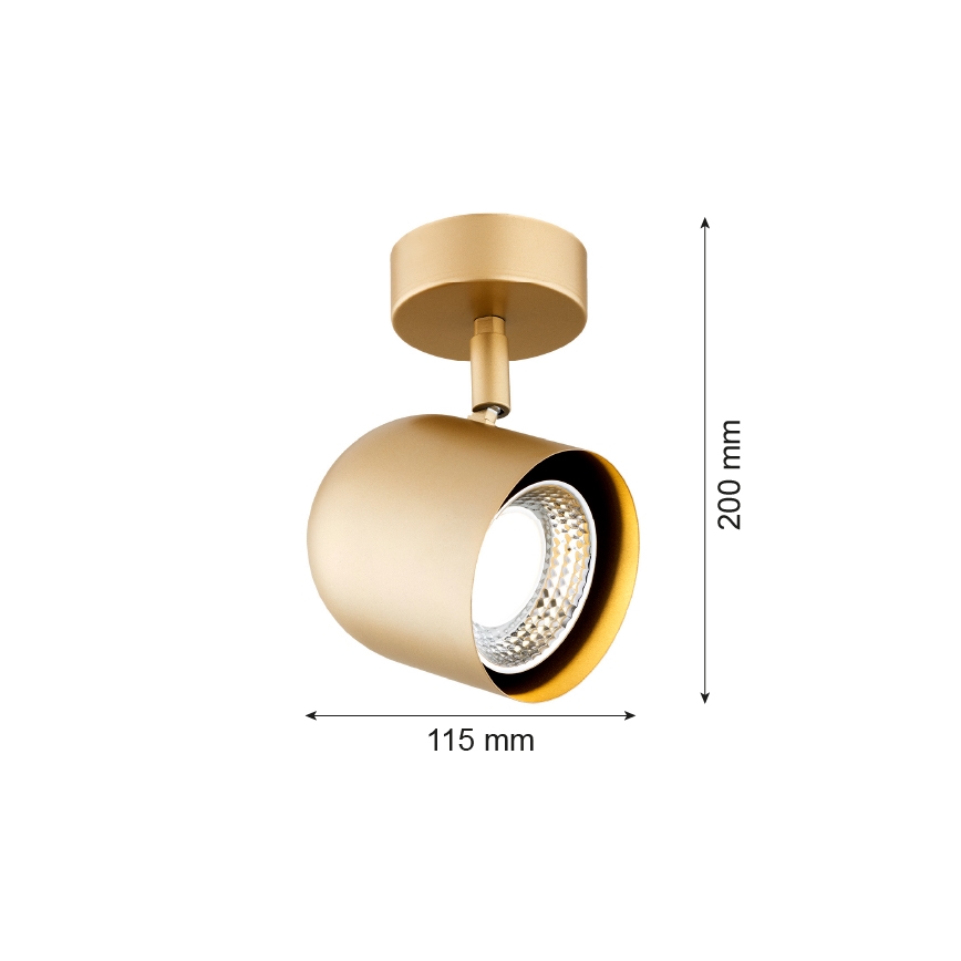 Argon 8260 - Φωτιστικό σποτ ISOLA 1xGU10/5W/230V