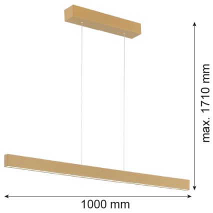 Argon 8306 - Πολύφωτο LED με συρματόσχοινο BALANS LED/35W/230V 3000K χρυσαφί