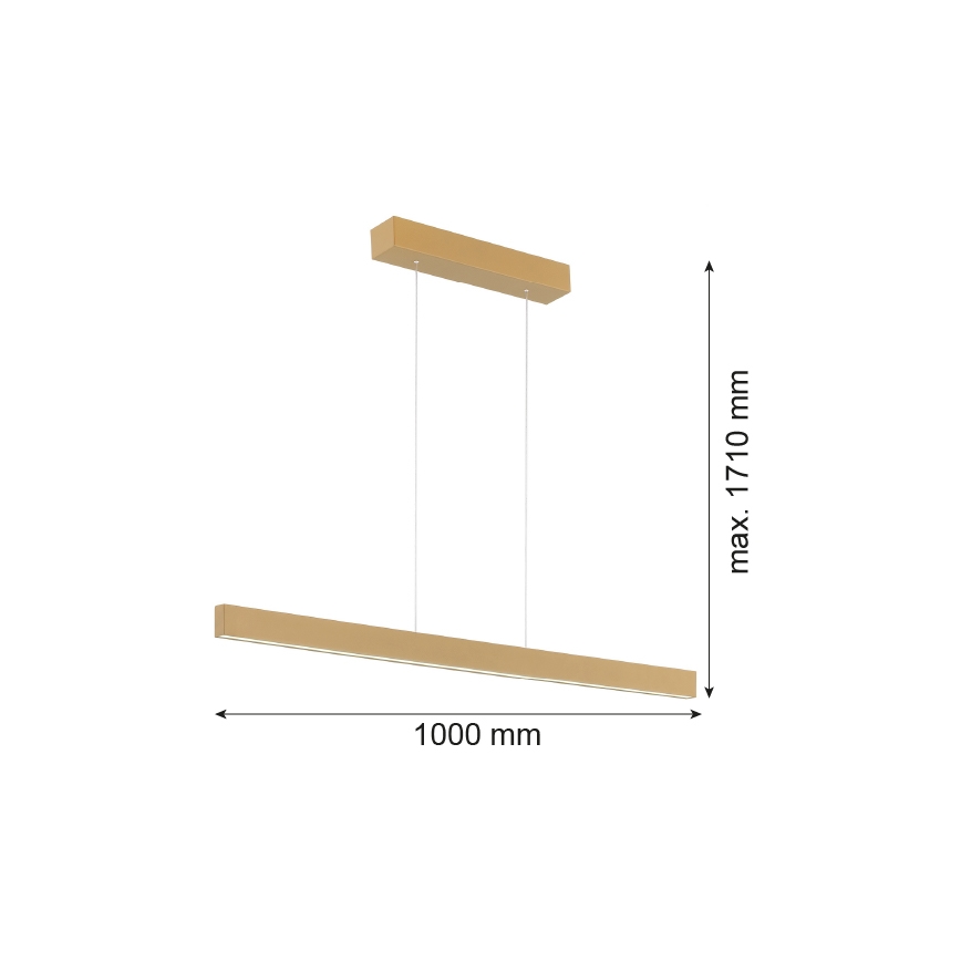 Argon 8306 - Πολύφωτο LED με συρματόσχοινο BALANS LED/35W/230V 3000K χρυσαφί