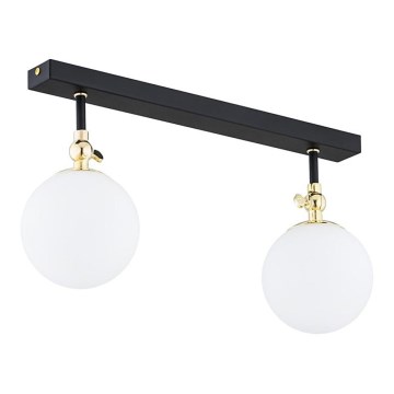 Argon 846 - Επιφανειακό φωτιστικό οροφής για μπάνιο LATINA 2xE14/40W/230V IP44