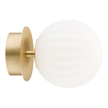 Argon 8504 - Φωτιστικό τοίχου PALOMA 1xE14/7W/230V χρυσαφί/λευκό