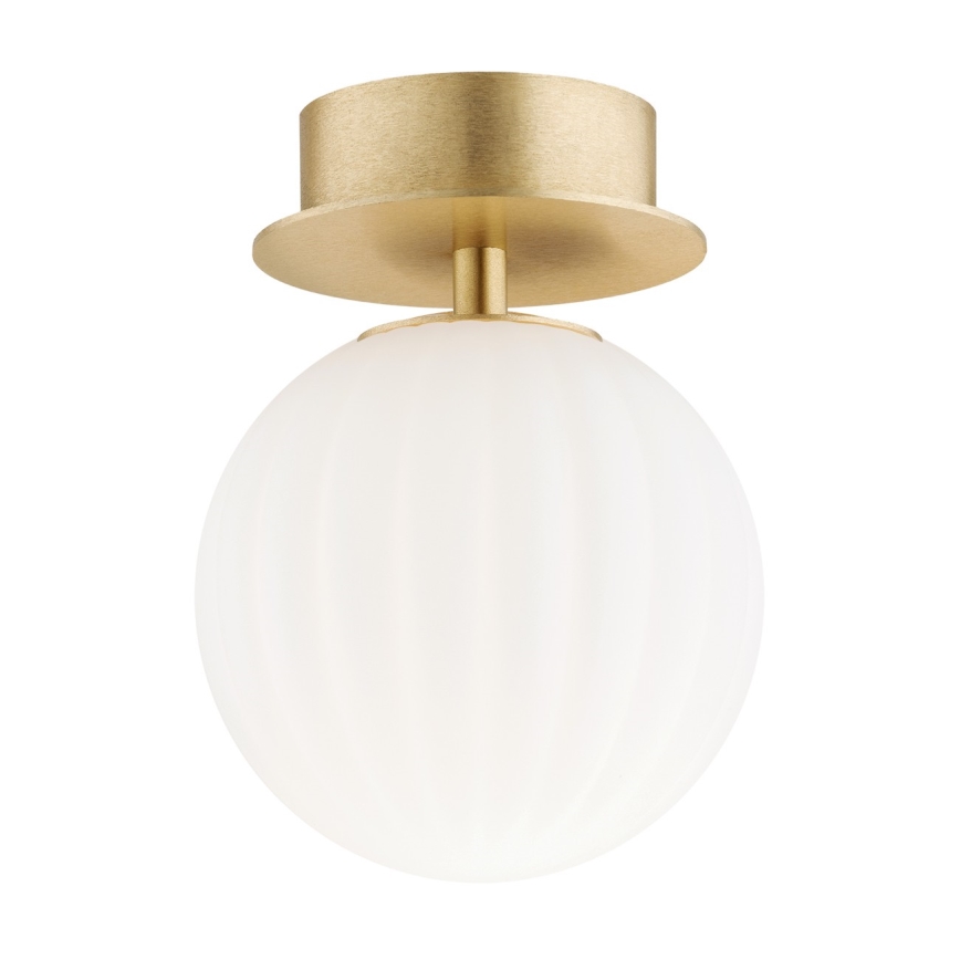 Argon 8504 - Φωτιστικό τοίχου PALOMA 1xE14/7W/230V χρυσαφί/λευκό