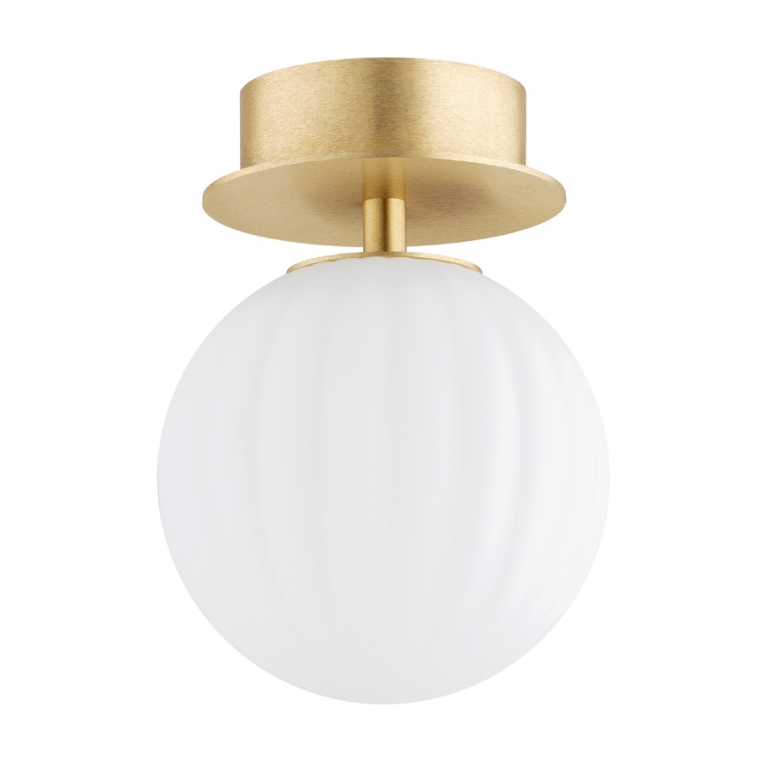 Argon 8504 - Φωτιστικό τοίχου PALOMA 1xE14/7W/230V χρυσαφί/λευκό