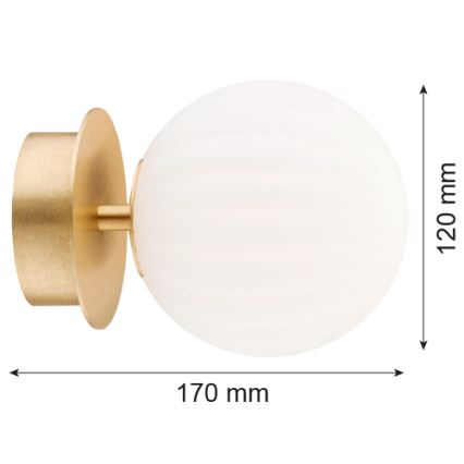 Argon 8504 - Φωτιστικό τοίχου PALOMA 1xE14/7W/230V χρυσαφί/λευκό