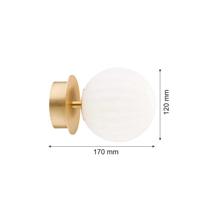 Argon 8504 - Φωτιστικό τοίχου PALOMA 1xE14/7W/230V χρυσαφί/λευκό