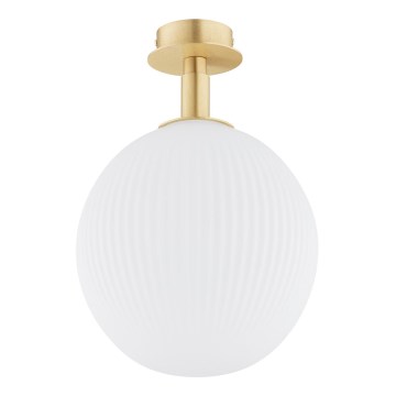 Argon 8505 - Φωτιστικό οροφής PALOMA 1xE27/15W/230V χρυσαφί/λευκό