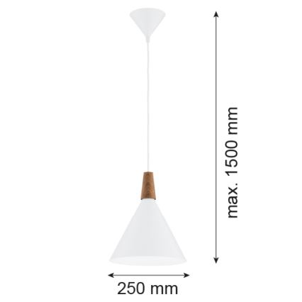 Argon 8630 - Κρεμαστό φωτιστικό οροφής KEGEL 1xE27/15W/230V λευκό