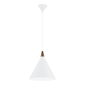 Argon 8631 - Κρεμαστό φωτιστικό οροφής KEGEL 1xE27/15W/230V λευκό