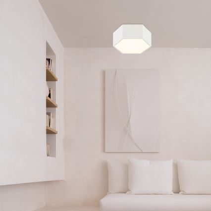 Argon 8781 - Φωτιστικό οροφής LED LIBERO LED/12W/230V 3000K λευκό