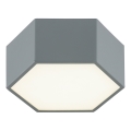 Argon 8784 - Φωτιστικό οροφής LED LIBERO LED/12W/230V 3000K γκρι