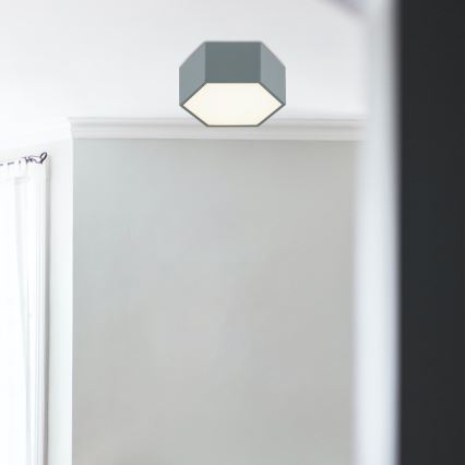 Argon 8784 - Φωτιστικό οροφής LED LIBERO LED/12W/230V 3000K γκρι