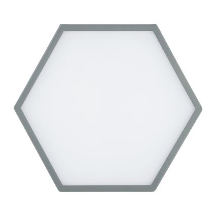 Argon 8784 - Φωτιστικό οροφής LED LIBERO LED/12W/230V 3000K γκρι