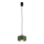Argon 8815 - Κρεμαστό φωτιστικό οροφής TEVO 1xG9/4,5W/230V πράσινο