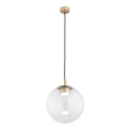 Argon 8828 - Κρεμαστό φωτιστικό οροφής SACRAMENTO 1xGX53/8W/230V διαφανές/χρυσό