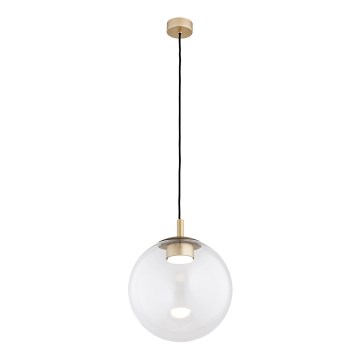 Argon 8828 - Κρεμαστό φωτιστικό οροφής SACRAMENTO 1xGX53/8W/230V διαφανές/χρυσό
