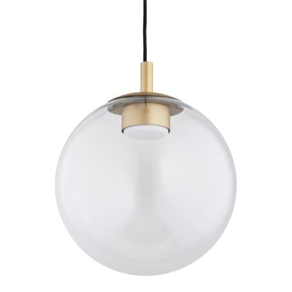 Argon 8828 - Κρεμαστό φωτιστικό οροφής SACRAMENTO 1xGX53/8W/230V διαφανές/χρυσό