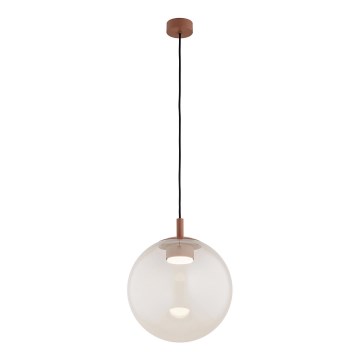 Argon 8829 - Κρεμαστό φωτιστικό οροφής SACRAMENTO 1xGX53/8W/230V διαφανές/καφέ
