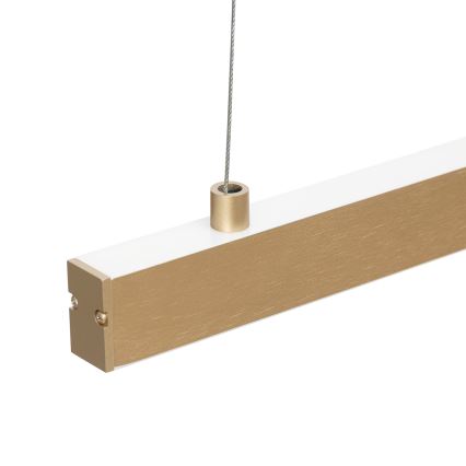 Argon 8836 -  Κρεμαστό φωτιστικό οροφής LED MIAMI LED/37W/230V 3000K χρυσό