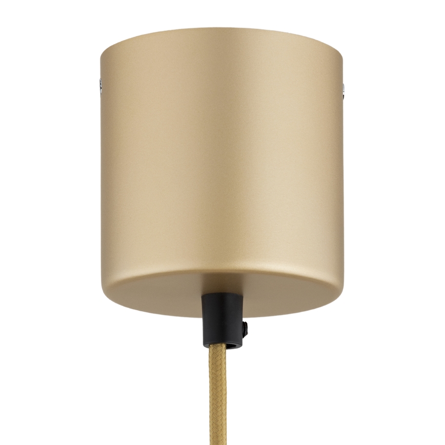 Argon 8869 - Κρεμαστό LED φωτιστικό σε καλώδιο BOLTON LED/12,5W/230V 3000K χρυσό