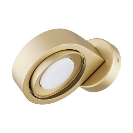 Argon 8899 - Επιτοίχιο φωτιστικό LOTUS 1xGX53/12W/230V χρυσό