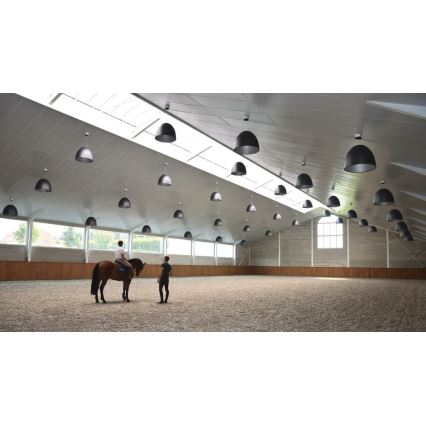 Artemide A242900 - Κρεμαστό φωτιστικό οροφής NUR 2xR7s/11W/230V ανθρακί