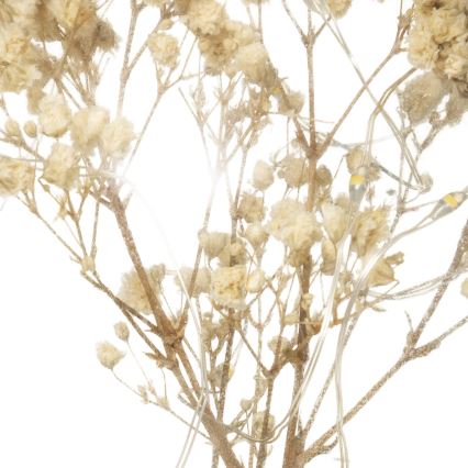 Atmosphera - Επιτραπέζιο φωτιστικό MICRO LED/2xAAA ανθρακί