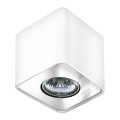 Azzardo AZ0735 - Φως οροφής NINO 1xGU10/50W/230V